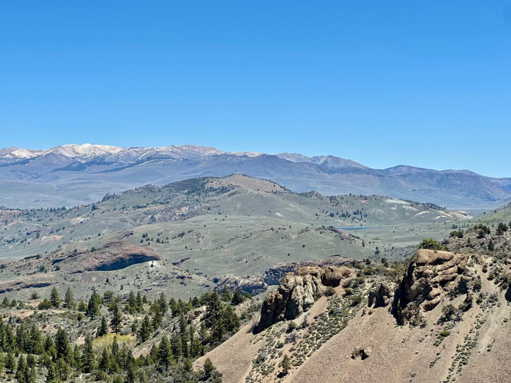 Stanislaus National Forest in California. Picture by Happy Vegan Campers.