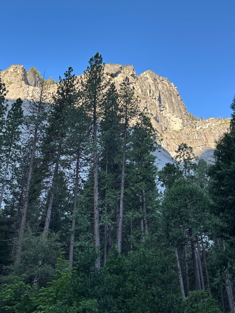 Yosemite Valley at Yosemite National Park, California. Picture by Happy Vegan Campers.