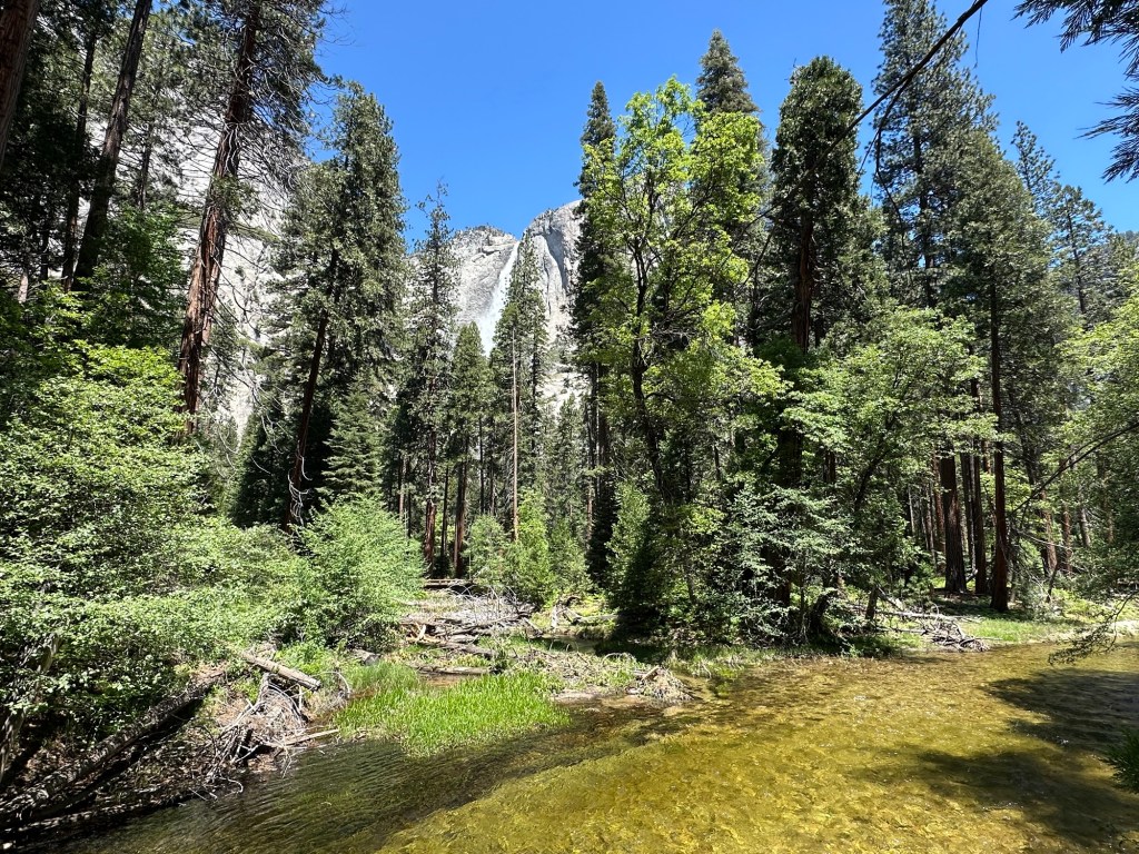 Yosemite Falls in Yosemite National Park, California. Picture by Happy Vegan Campers.