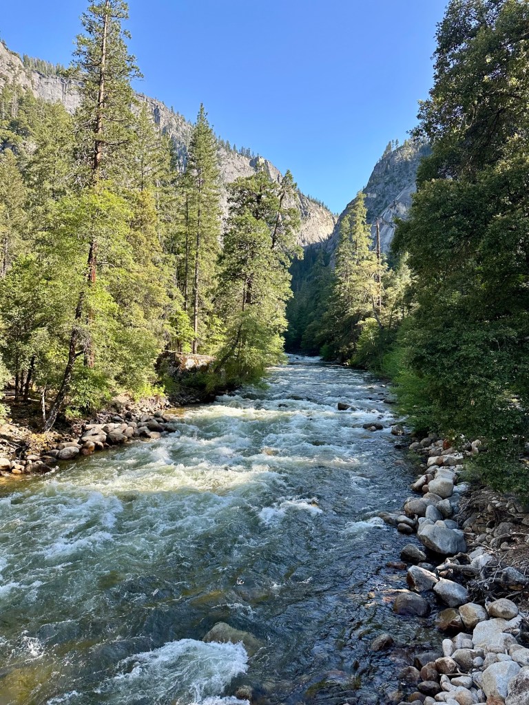 Yosemite National Park, California. Picture by Happy Vegan Campers.