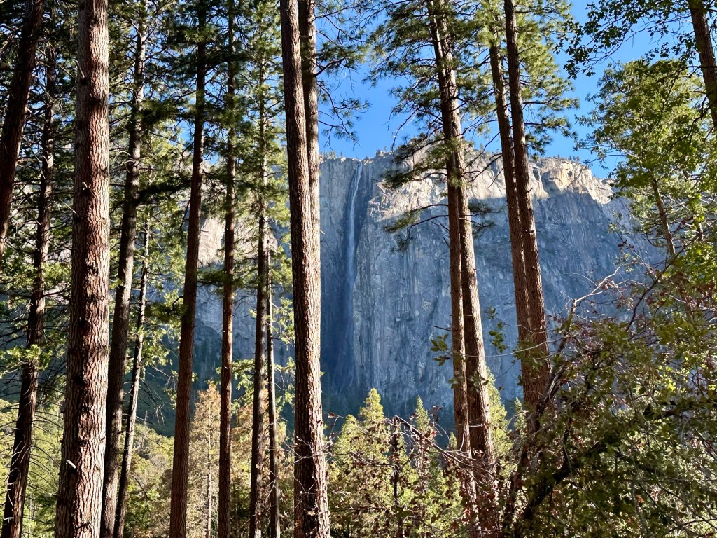 Water fall in Yosemite National Park, California. Picture by Happy Vegan Campers.