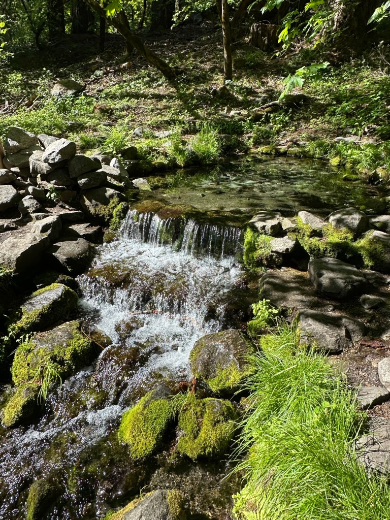 Natural spring in Yosemite National Park, California. Picture by Happy Vegan Campers.
