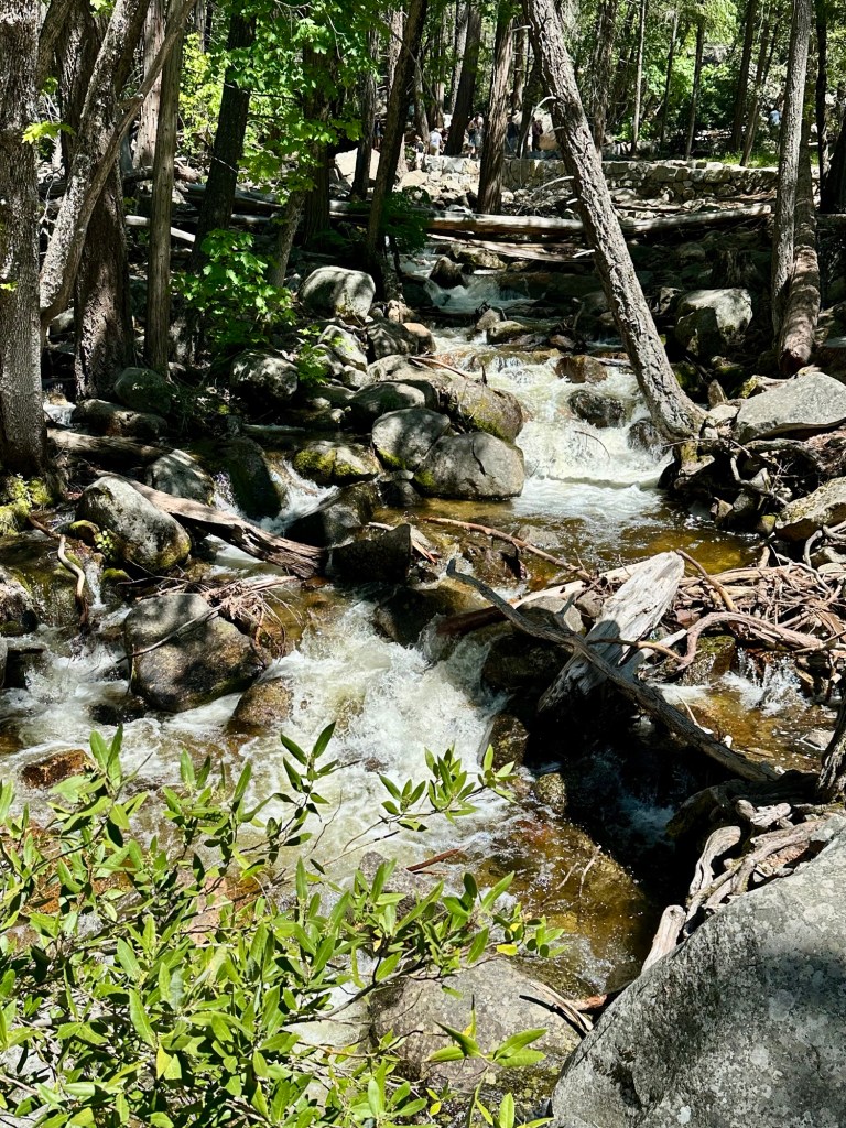 Stream near Bridalveil Falls in Yosemite National Park, California. Picture by Happy Vegan Campers.