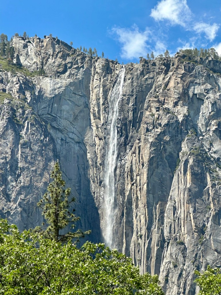 Yosemite National Park, California. Picture by Happy Vegan Campers.