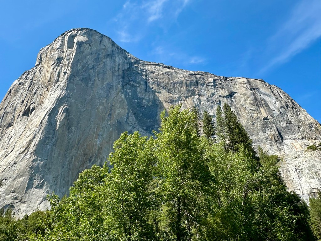 Yosemite National Park, California. Picture by Happy Vegan Campers.