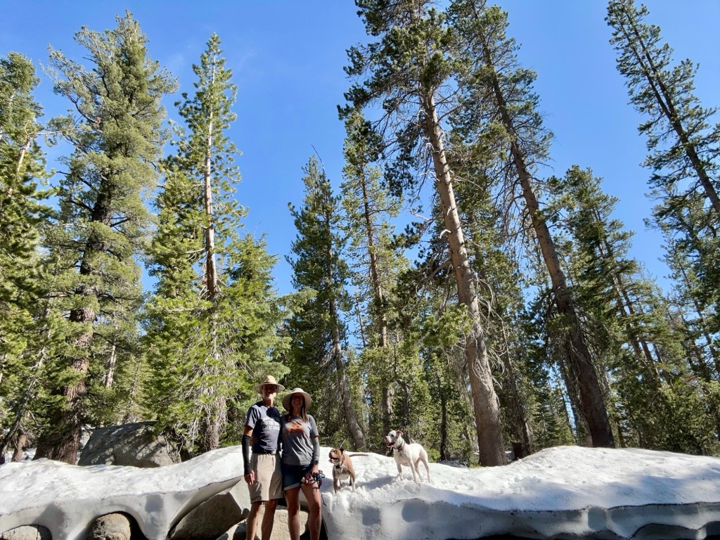 Dubay Family in Yosemite National Park, California. Picture by Happy Vegan Campers.