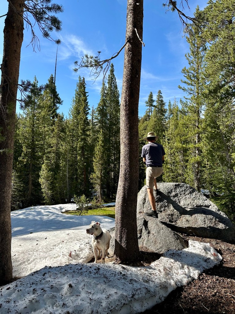 Daniel and Peter in Yosemite National Park, California. Picture by Happy Vegan Campers.