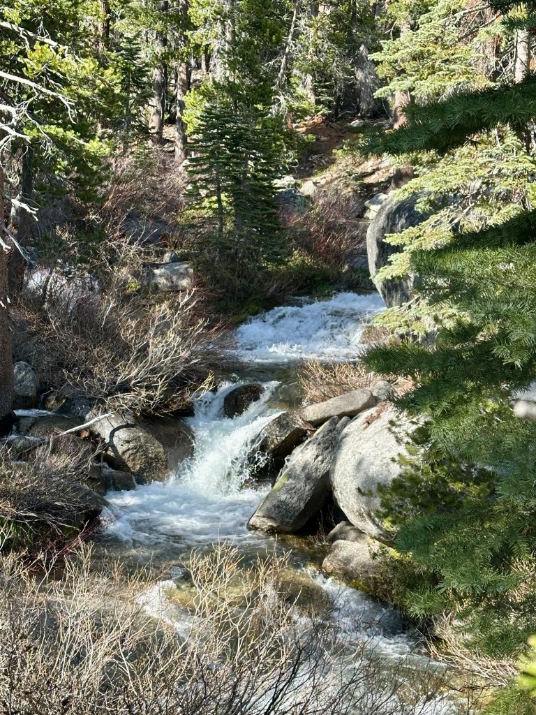Stream in Yosemite National Park, California. Picture by Happy Vegan Campers.
