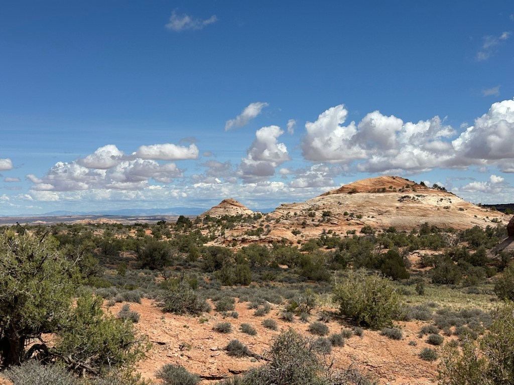 Canyonland National Park in Moab, Utah. Picture by Happy Vegan Campers.