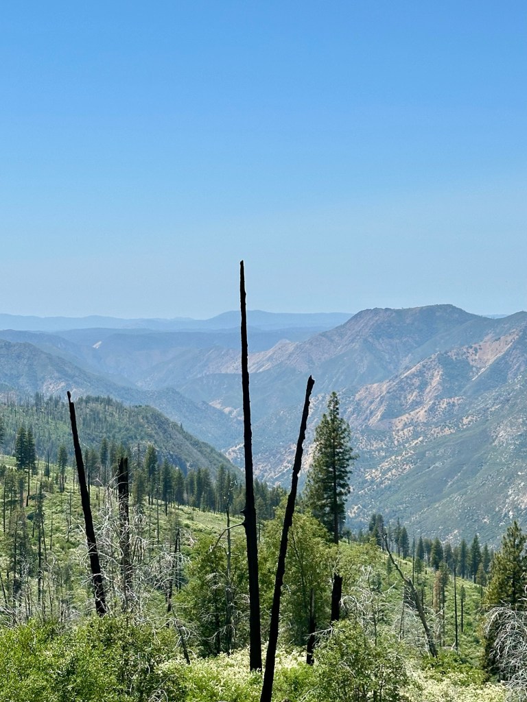 View from Glacier Point Rd in Yosemite National Park, California. Picture by Happy Vegan Campers.