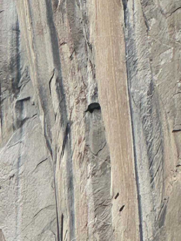 Climber's sleeping bag in Yosemite National Park, California. Picture by Happy Vegan Campers.