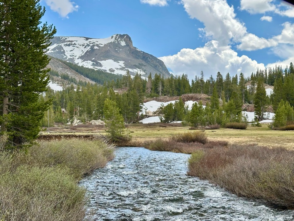 View from Tioga Pass in Yosemite National Park, California. Picture by Happy Vegan Campers.