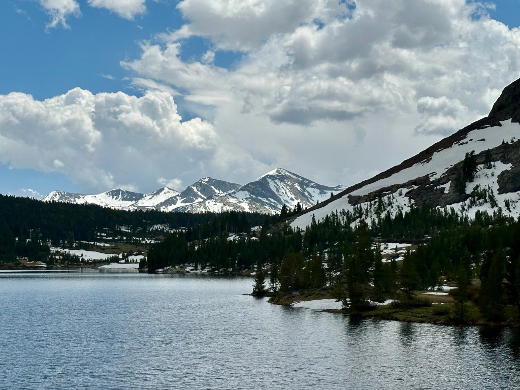 View from Tioga Pass in Yosemite National Park, California. Picture by Happy Vegan Campers.