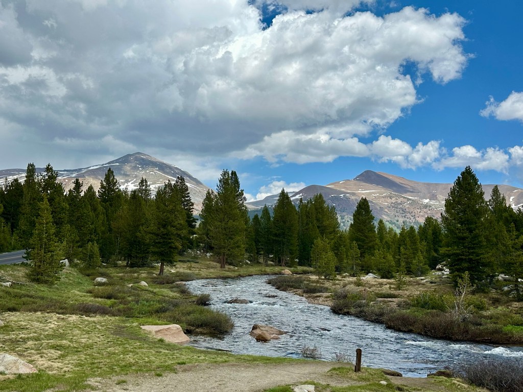 View from Tioga Pass in Yosemite National Park, California. Picture by Happy Vegan Campers.