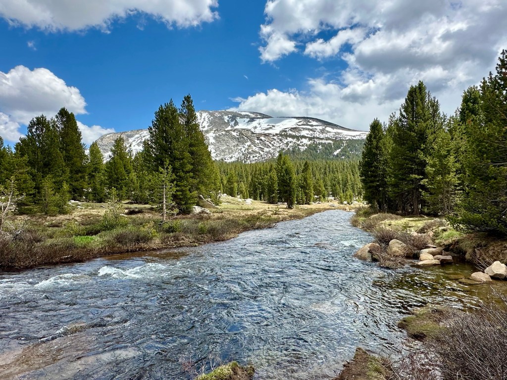 View from Tioga Pass in Yosemite National Park, California. Picture by Happy Vegan Campers.