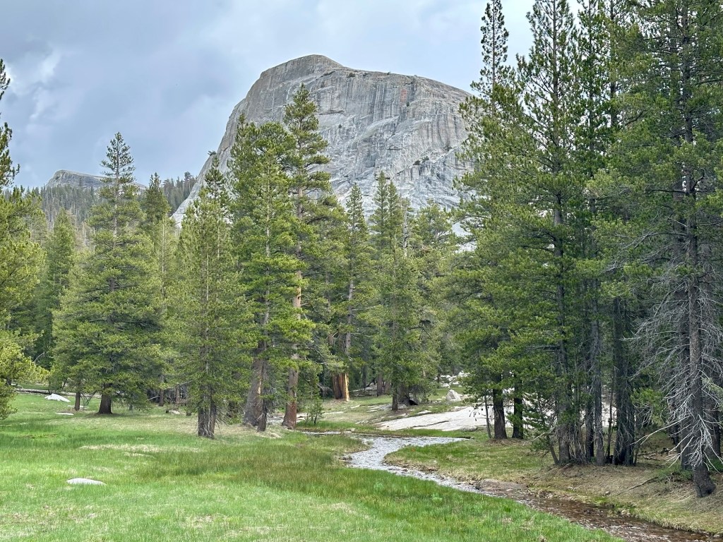 View from Tioga Pass in Yosemite National Park, California. Picture by Happy Vegan Campers.