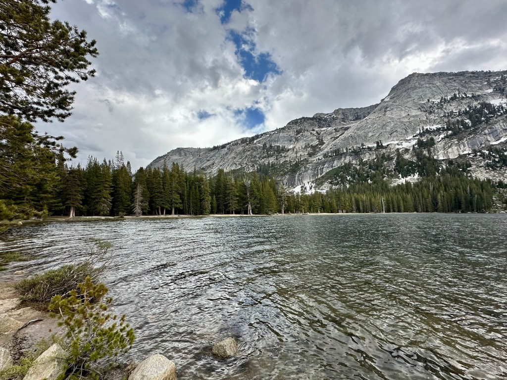 View from Tioga Pass in Yosemite National Park, California. Picture by Happy Vegan Campers.