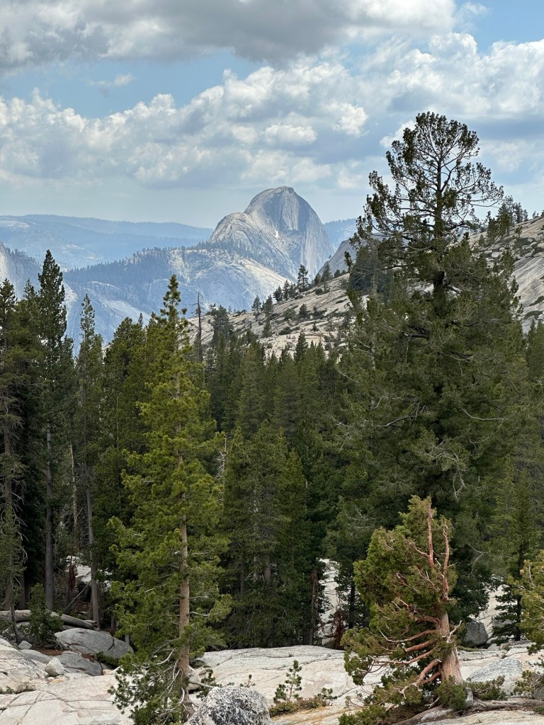 View of Half Dome from Tioga Pass in Yosemite National Park, California. Picture by Happy Vegan Campers.