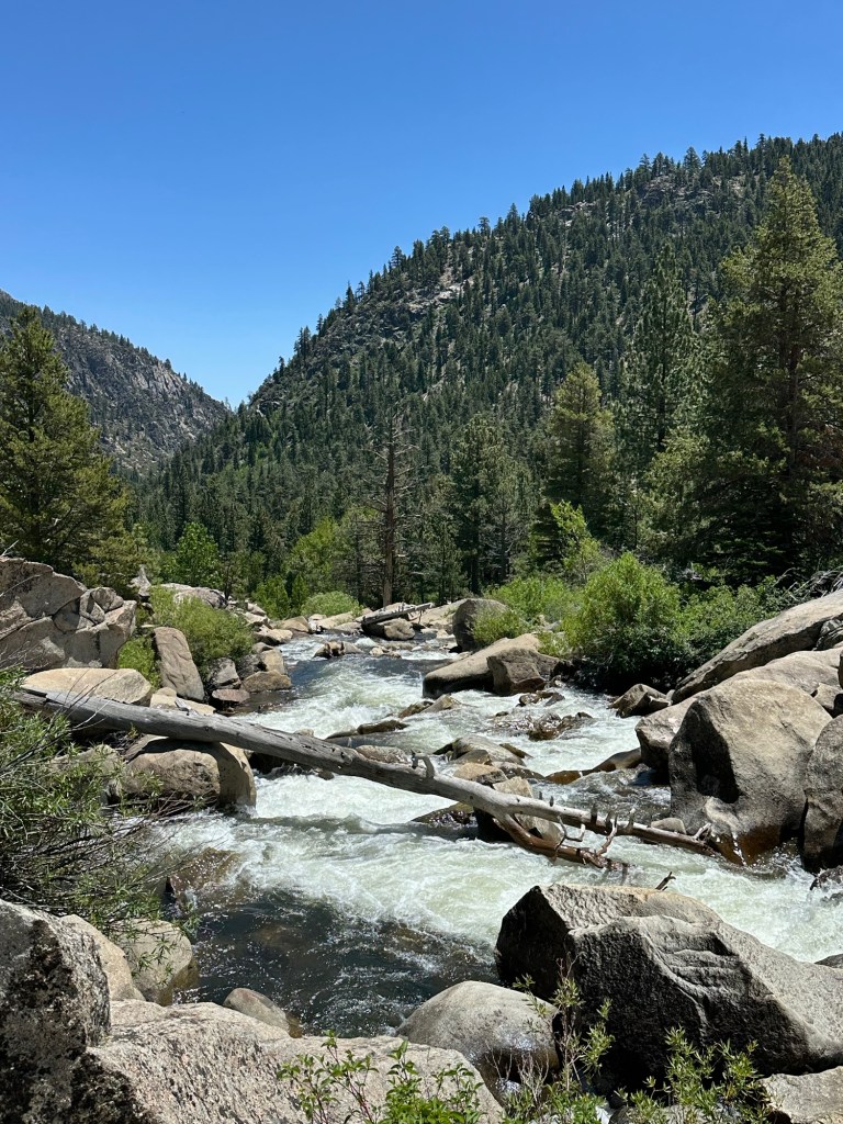 Rushing water in Stanislaus National Forest, California. Picture by Happy Vegan Campers.