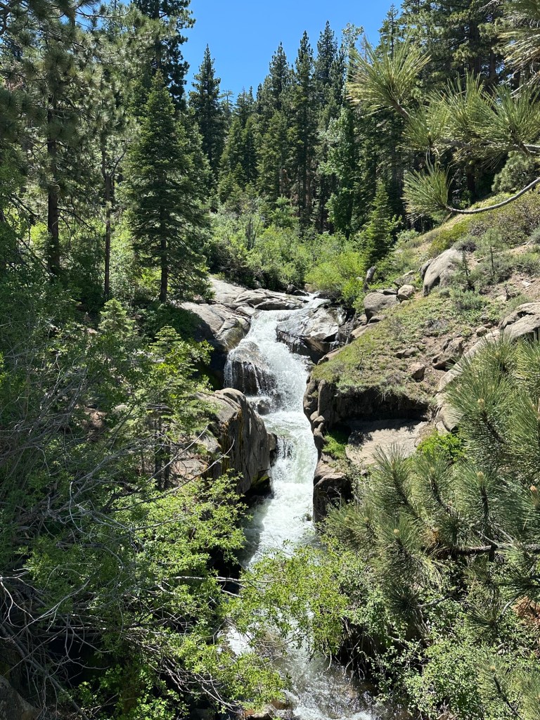 Waterfall in Stanislaus National Forest, California. Picture by Happy Vegan Campers.