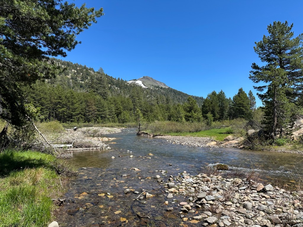 North Fork Mokelumne River in Stanislaus National Forest, California. Picture by Happy Vegan Campers.