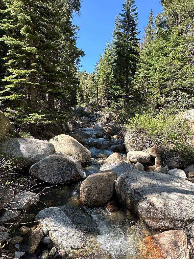 Stream in Stanislaus National Forest, California. Picture by Happy Vegan Campers.