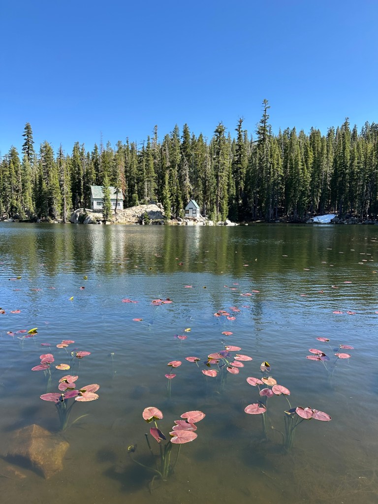 Cabins by Mosquito Lake in Stanislaus National Forest, California. Picture by Happy Vegan Campers.