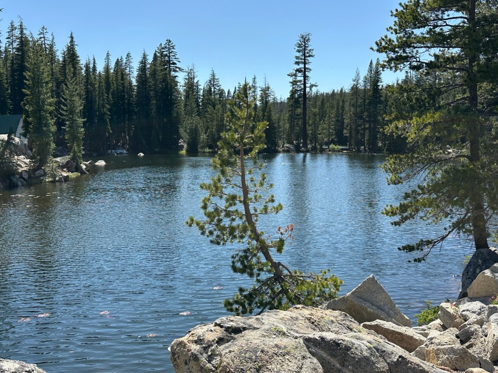 Mosquito Lake in Stanislaus National Forest, California. Picture by Happy Vegan Campers.