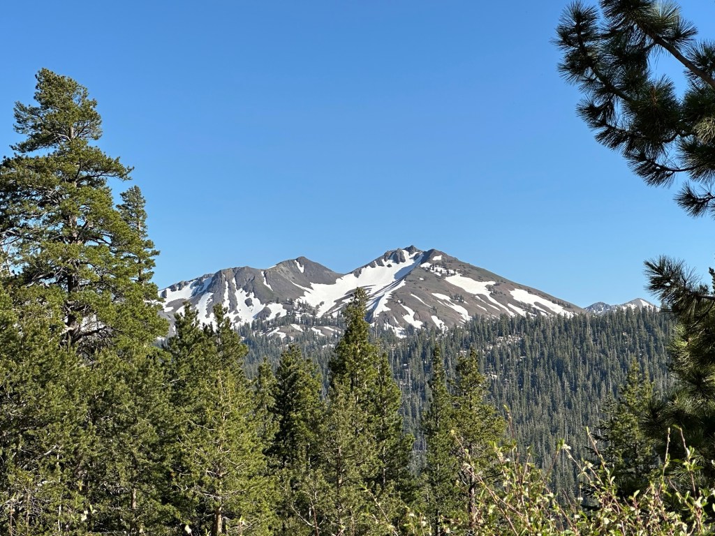 View in Stanislaus National Forest, California. Picture by Happy Vegan Campers.