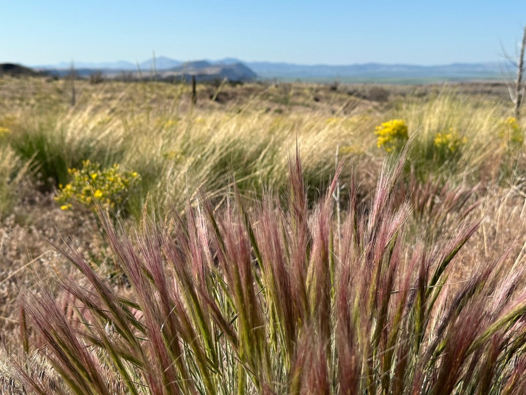 Lava Beds National Monument in Tulelake, California. Picture by Happy Vegan Campers.
