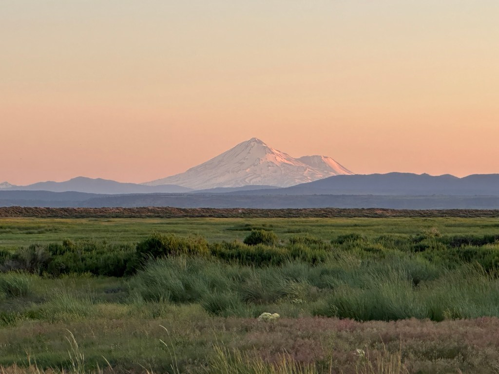 Mt. Shasta at dusk in California. Picture by Happy Vegan Campers.