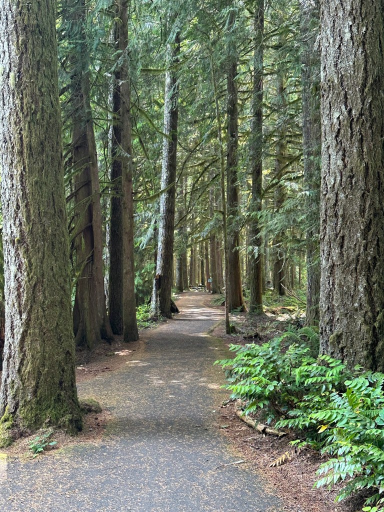 Paved trail at Wildwood Recreation Site in Welches, Oregon. Picture by Happy Vegan Campers.