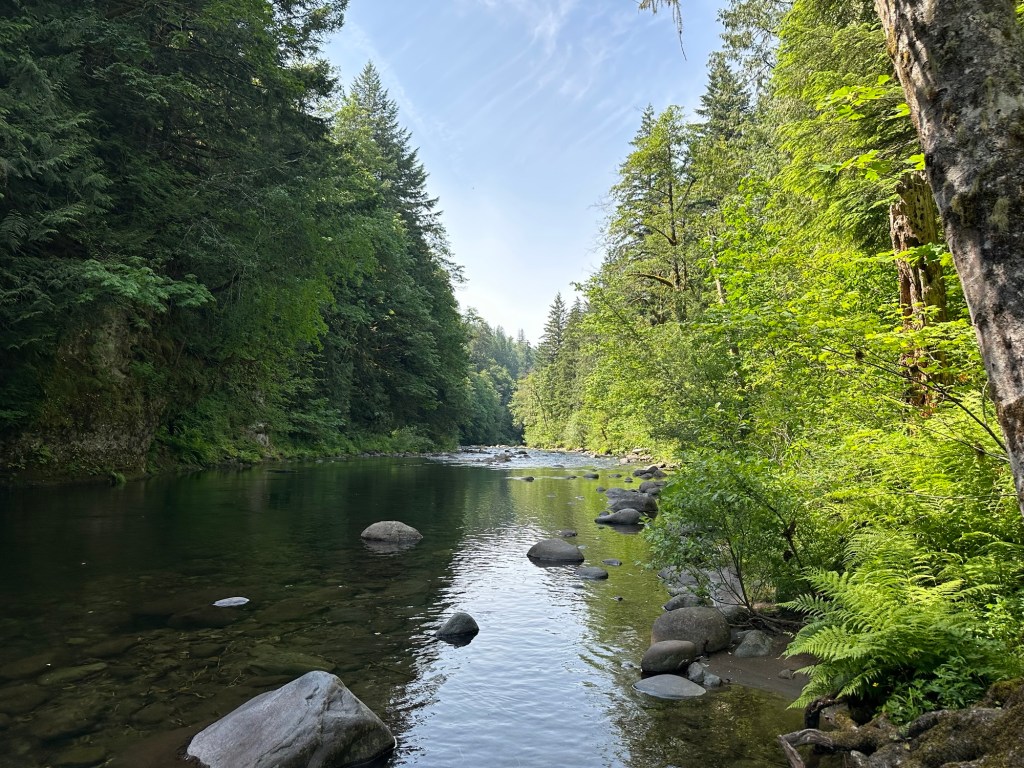Salmon River at Wildwood Recreation Site in Welches, Oregon. Picture by Happy Vegan Campers.