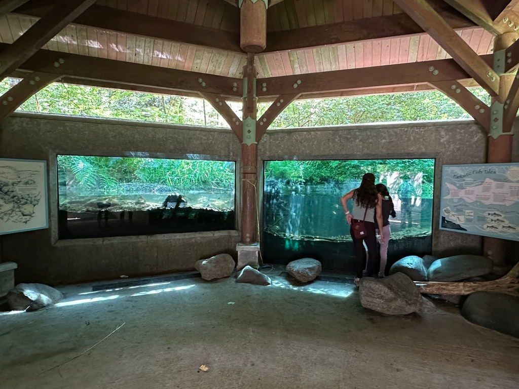Fish Viewing Chamber at Wildwood Recreation Site in Welches, Oregon. Picture by Happy Vegan Campers.
