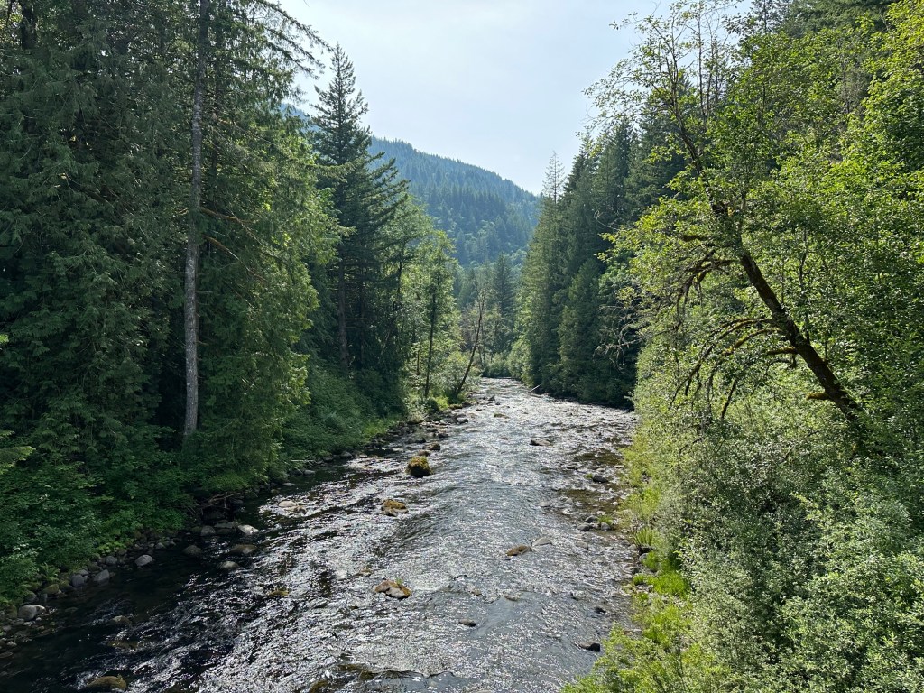 Salmon River at Wildwood Recreation Site in Welches, Oregon. Picture by Happy Vegan Campers.