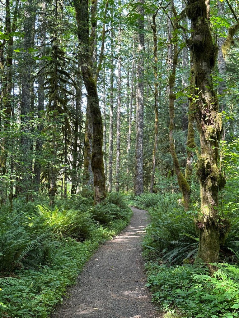 Trail at Wildwood Recreation Site in Welches, Oregon. Picture by Happy Vegan Campers.