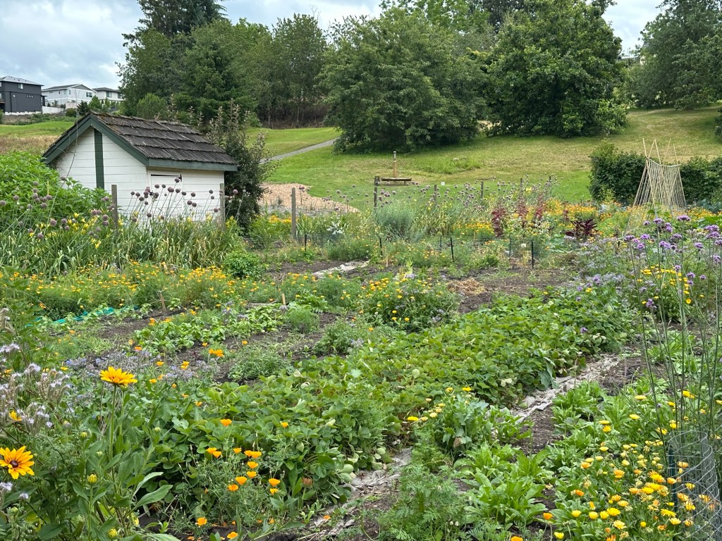 Vegetable garden at McMenamins Edgefield in Troutdale, Oregon. Picture by Happy Vegan Campers.