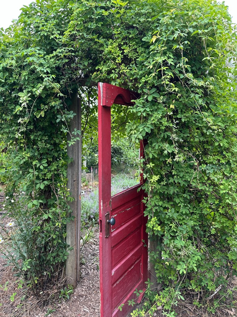 Vegetable garden at McMenamins Edgefield in Troutdale, Oregon. Picture by Happy Vegan Campers.