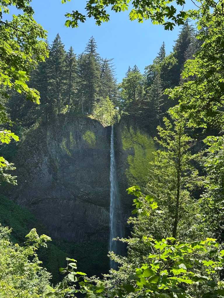 Latourell Falls in Corbett, Oregon. Picture by Happy Vegan Campers.