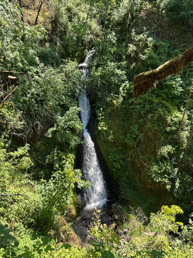 Shepperd’s Dell Waterfall in Corbett, Oregon. Picture by Happy Vegan Campers.