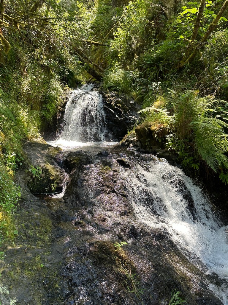 Shepperd’s Dell Waterfall in Corbett, Oregon. Picture by Happy Vegan Campers.