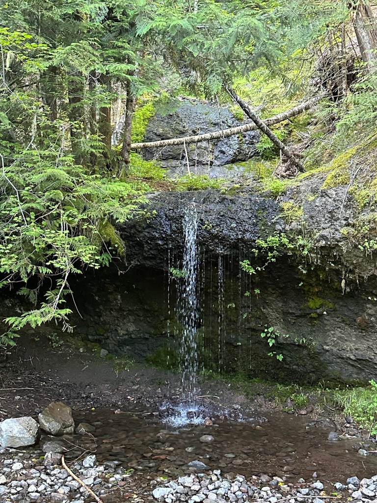Waterfall found on Lolo Pass Rd near Mt Hood in Oregon. Picture by Happy Vegan Campers.