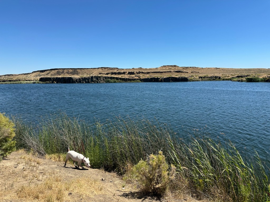 Peter at Hutchinson-Shiner Lakes Water Trail in Othello, Washington. Picture by Happy Vegan Campers.