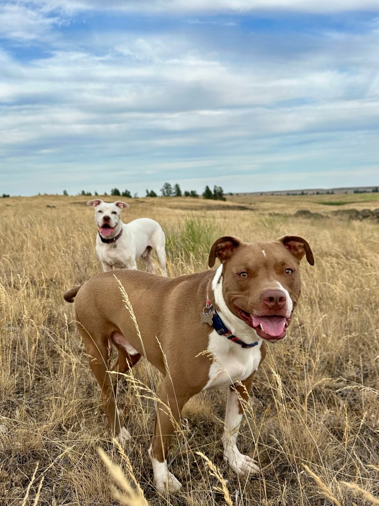Peter and Marcel at Fishtrap Lake in Sprague, Washington. Picture by Happy Vegan Campers.
