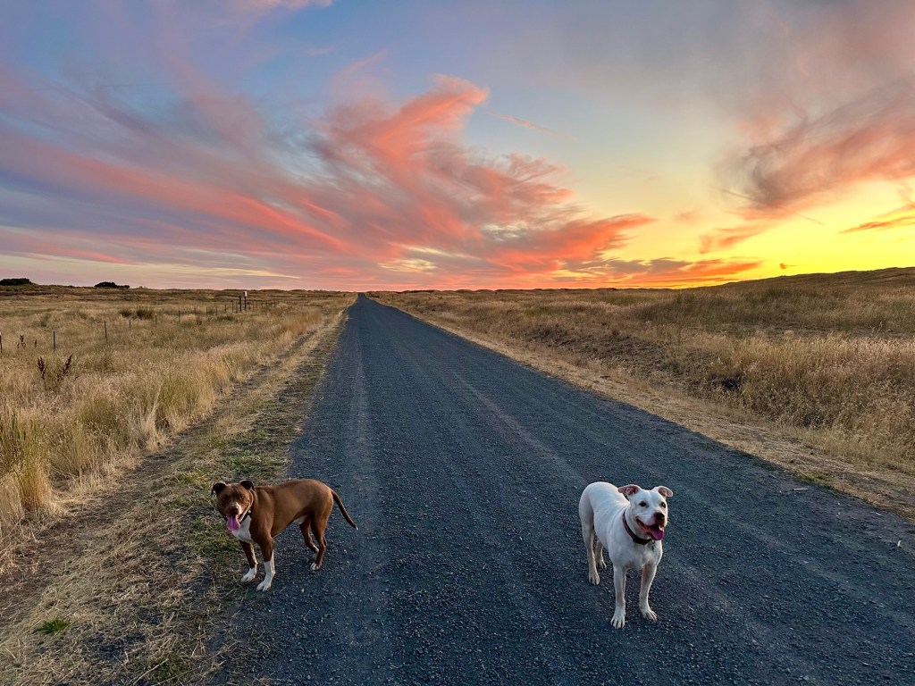 Marcel and Peter at Fishtrap Lake in Sprague, Washington. Picture by Happy Vegan Campers.