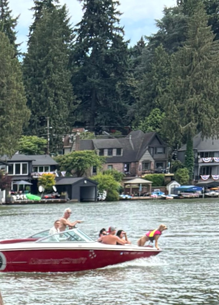 Dog as boat captain at Lake Oswego, Oregon. Picture by Happy Vegan Campers.