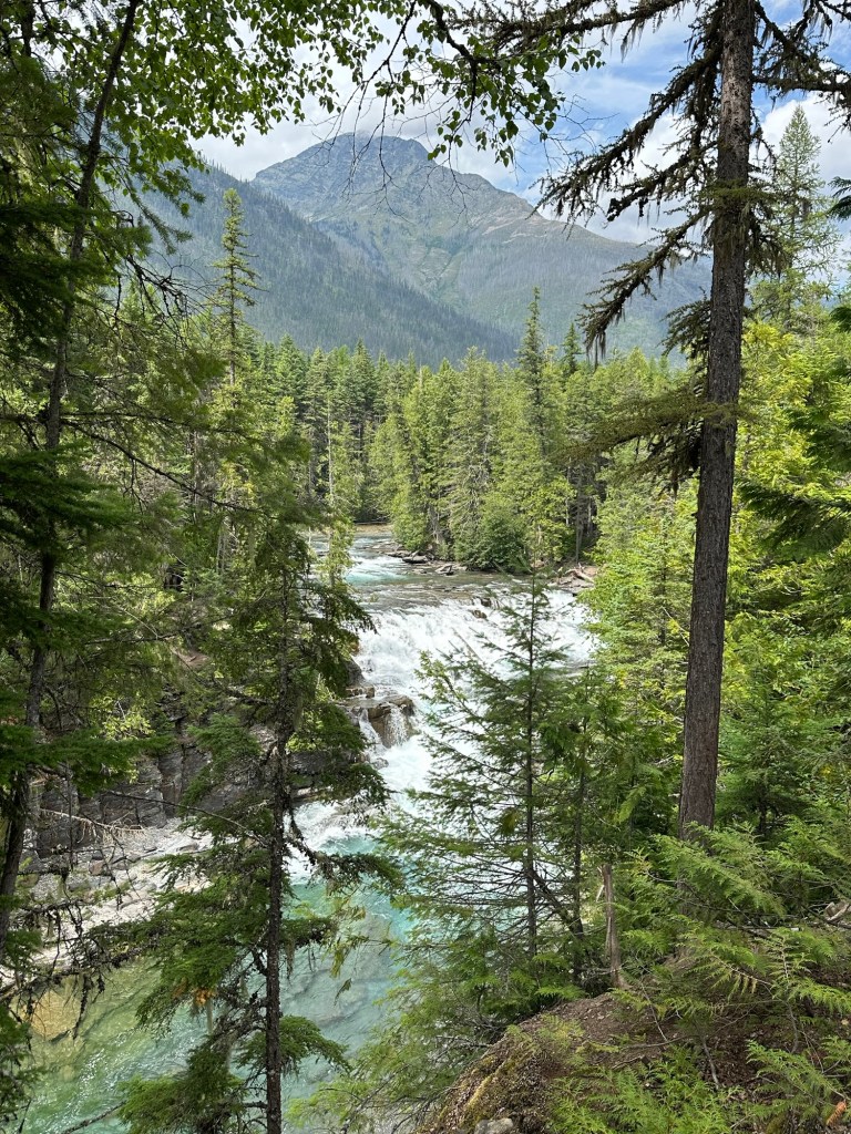 River in Glacier National Park in Montana. Picture by Happy Vegan Campers.