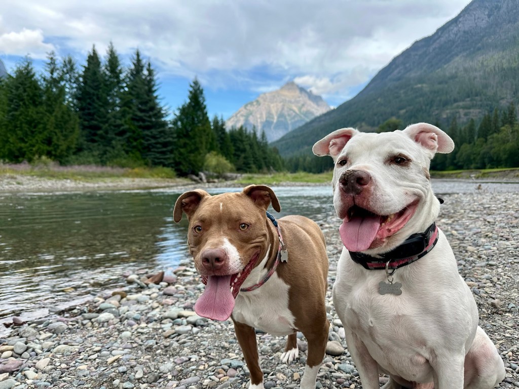 Peter and Marcel by river in Glacier National Park in Montana. Picture by Happy Vegan Campers.
