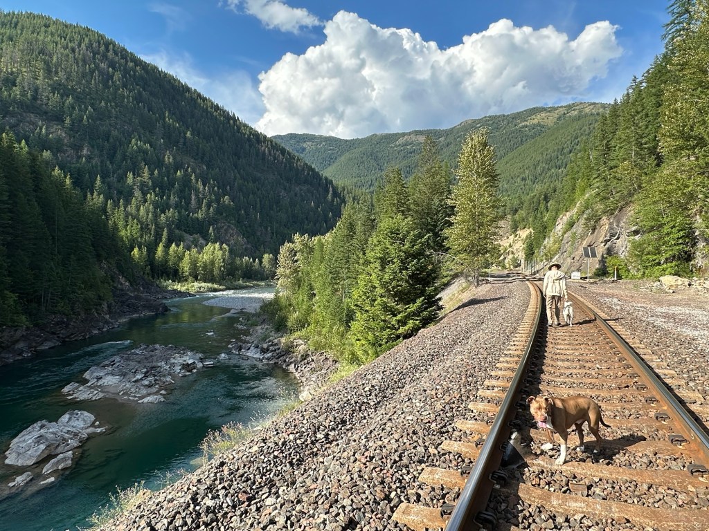 Daniel, Peter, and Marcel walking the train tracks near Glacier National Park in Montana. Picture by Happy Vegan Campers.