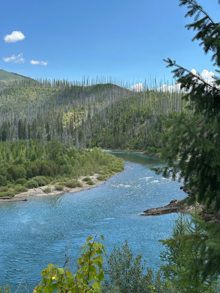 River in Flathead National Forest in Montana. Picture by Happy Vegan Campers.